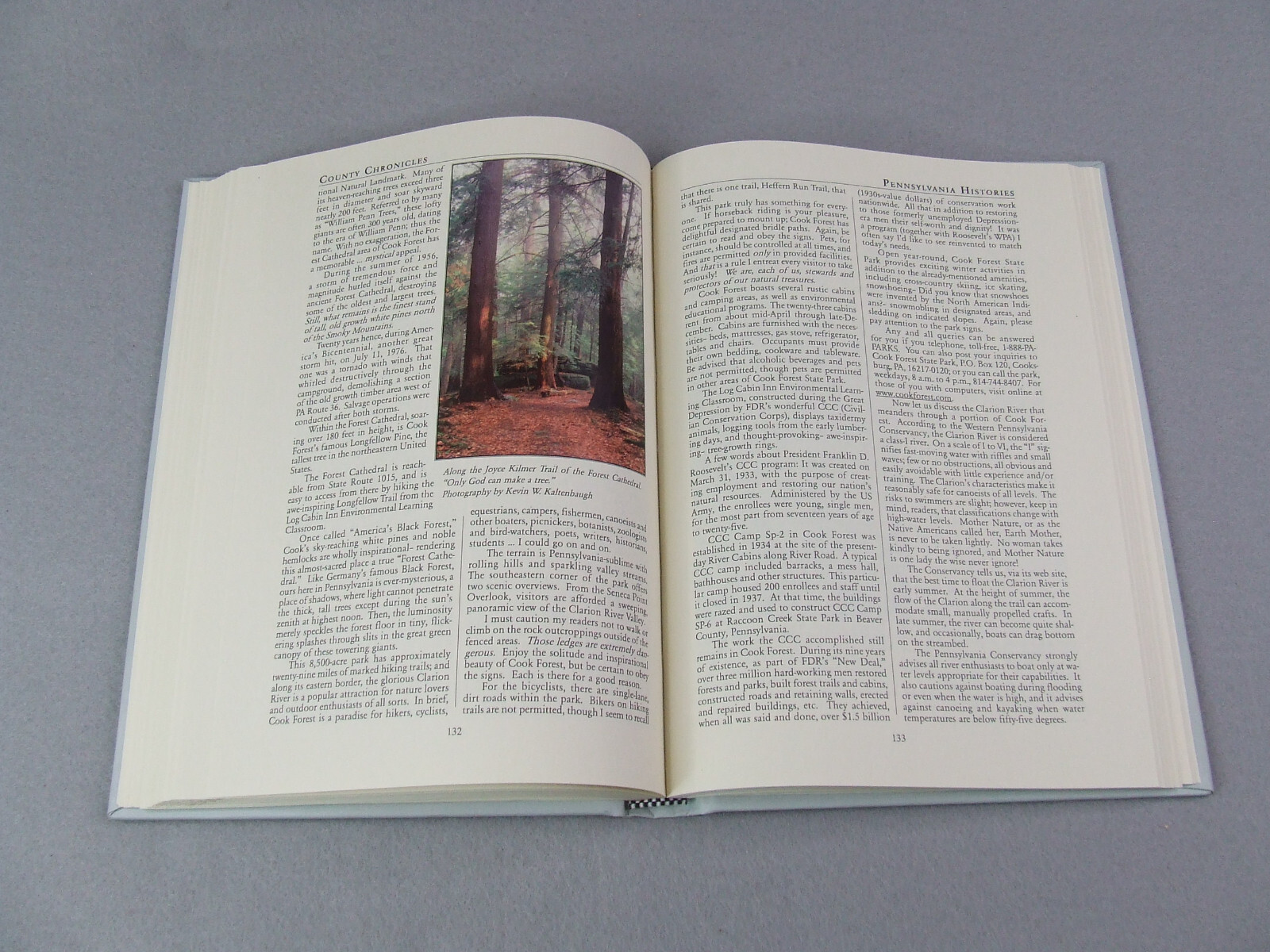 County Chronicles Pennsylvania Histories Volumes 1-4 by Ceane O’Hanlon-Lincoln