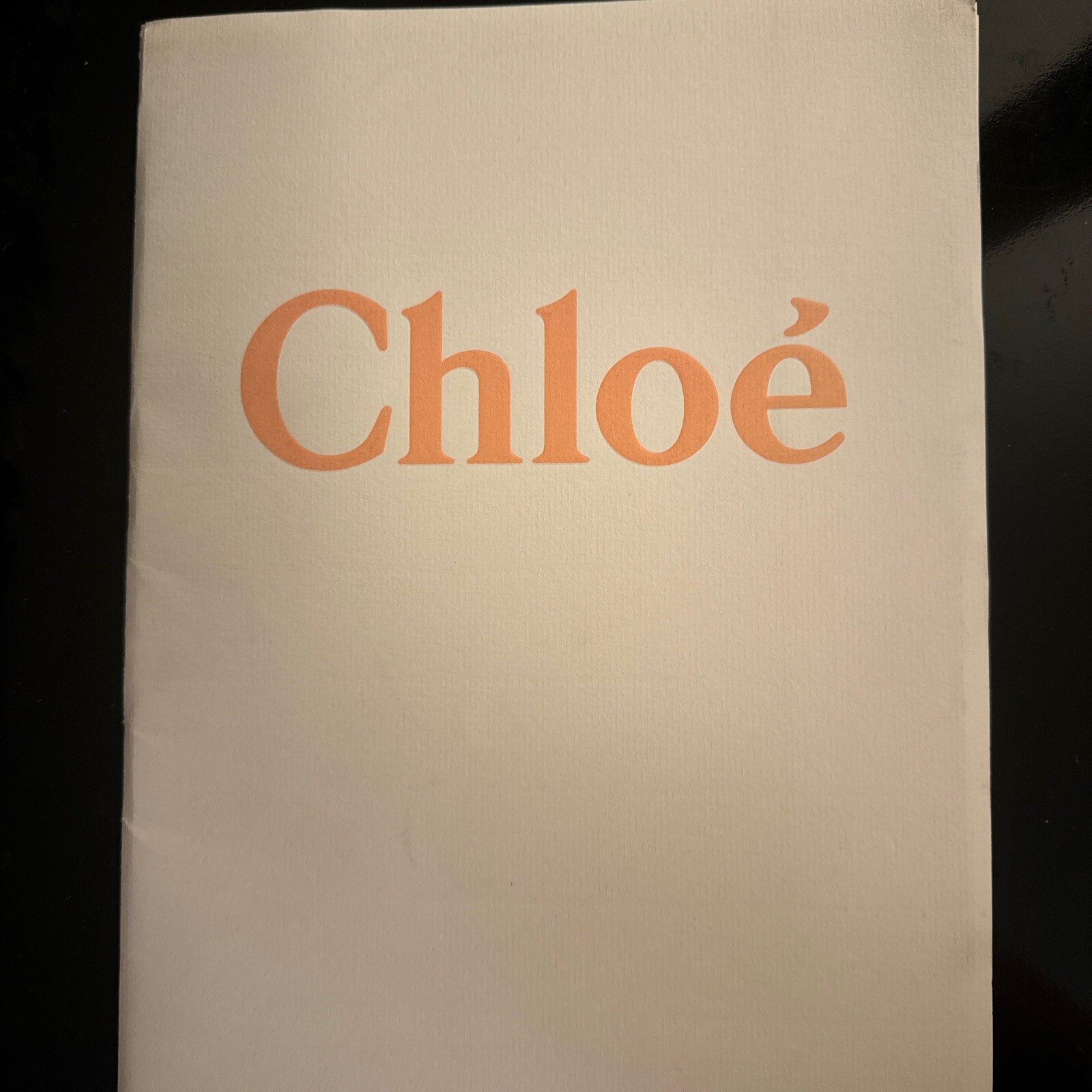 Chloe Runway Show Folder 90’s with 7 Fashion Art Illustrations James Dignan RARE