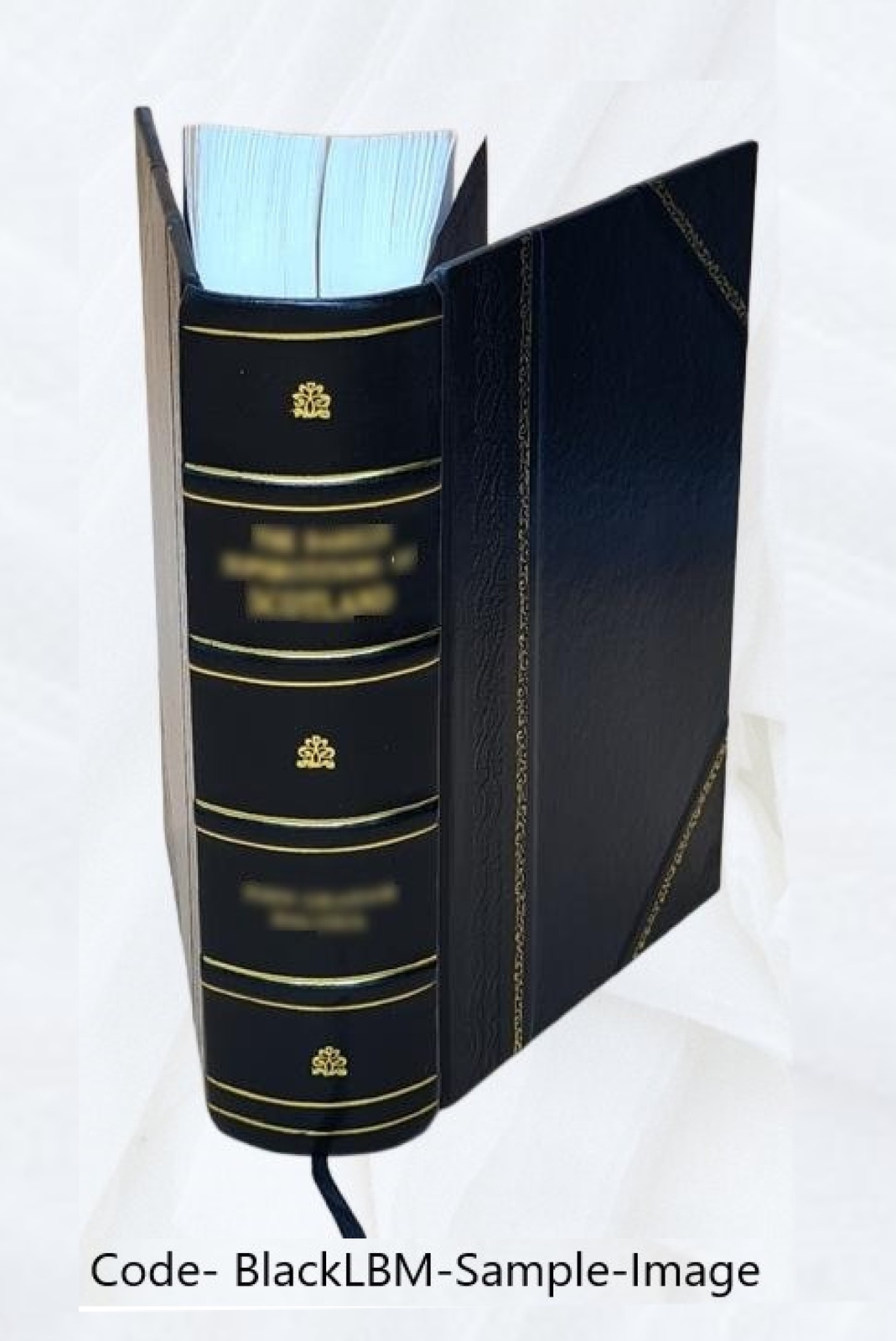 The history of the Church of Christ : from the days of the Apost [Leather Bound]