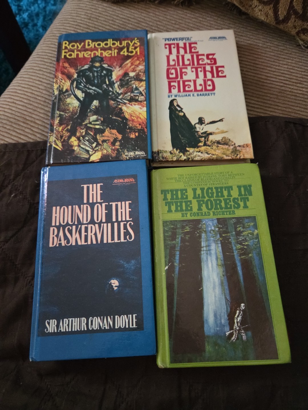 Classic Collection Hardcover Books Lot of 4 Vintage Bradbury, Doyle, Richter