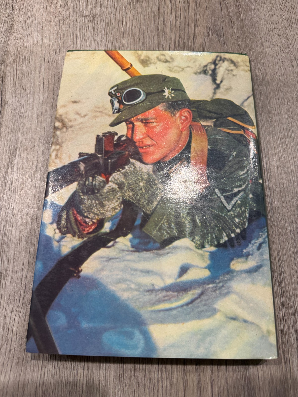 Alpine Elite: German Mountain Troops of World War II by James Sidney Lucas
