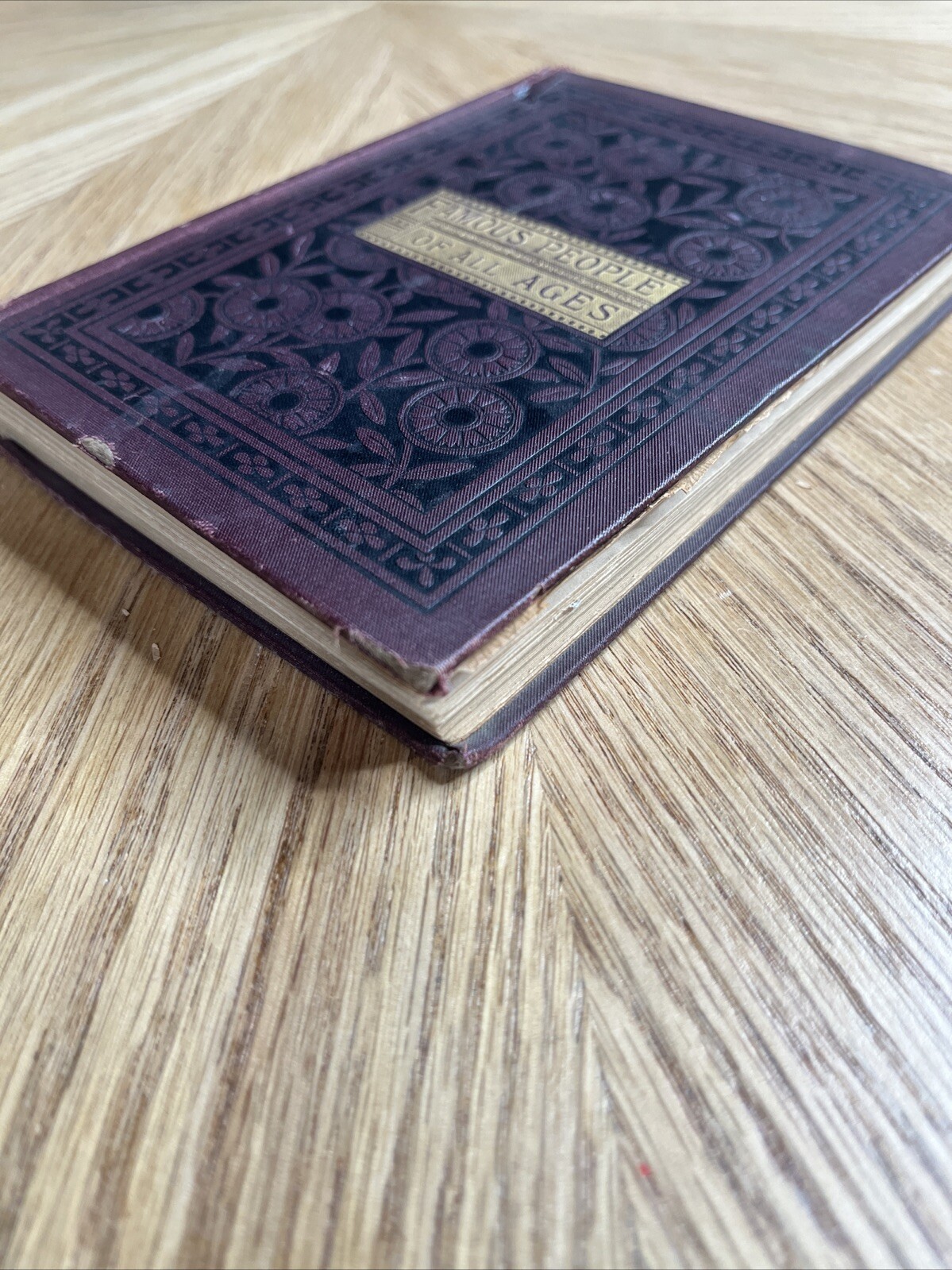 Famous People Of All Ages By W. H. Van Orden VTG 1885