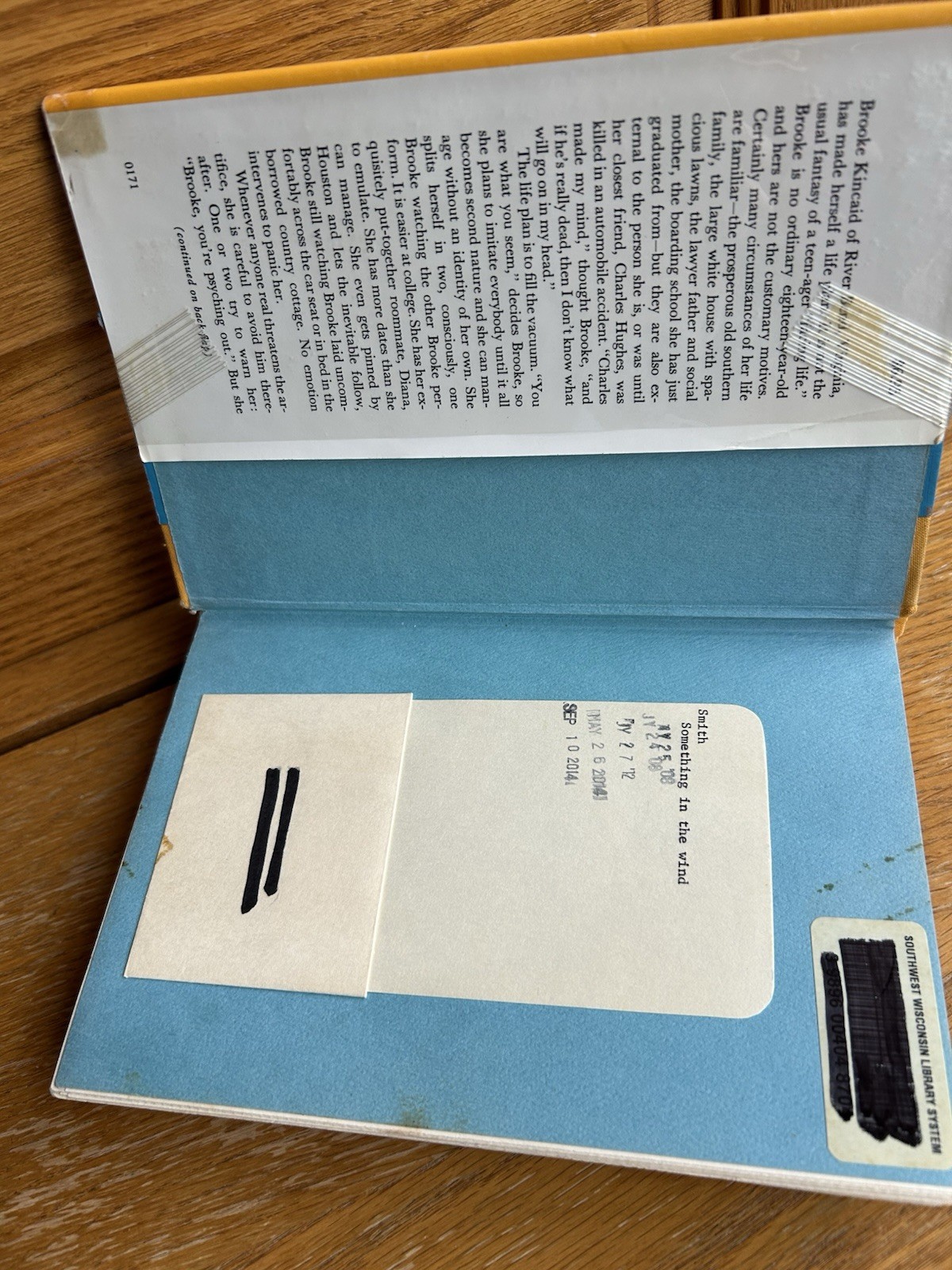 SOMETHING IN THE WIND Lee Smith 1st Edition 1971 Ex Library VGC Plastic Cover