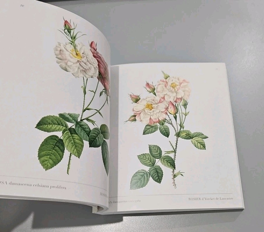 Roses: Mini Archive with DVD Included by Redoute, Pierre-Joseph; Sowerby, James