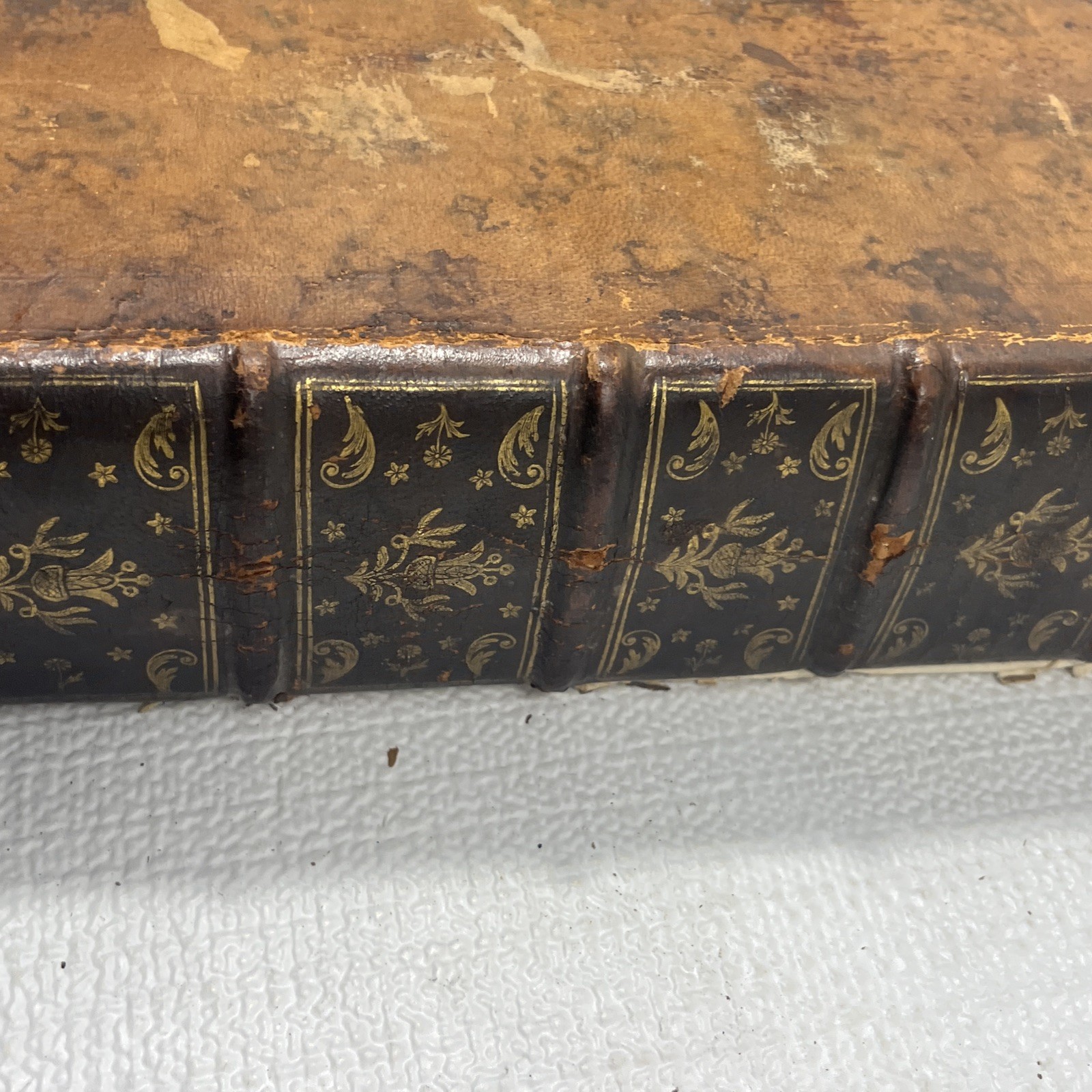 Pierre Bayle Dictionnaire Historique Critique Tome V 1734 Antique Leather Book