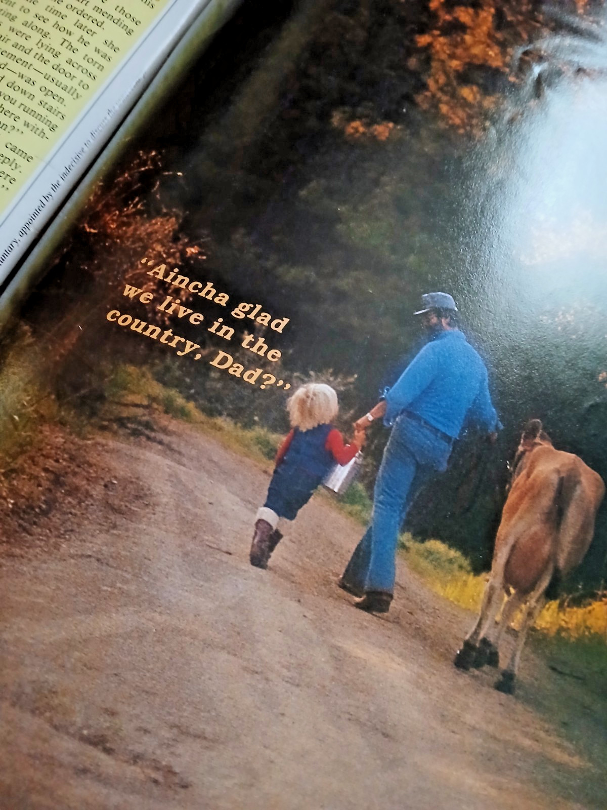 COUNTRY MAGAZINE. Premier Collector’s Edition. 1989. 1st edition. R J Reiman 