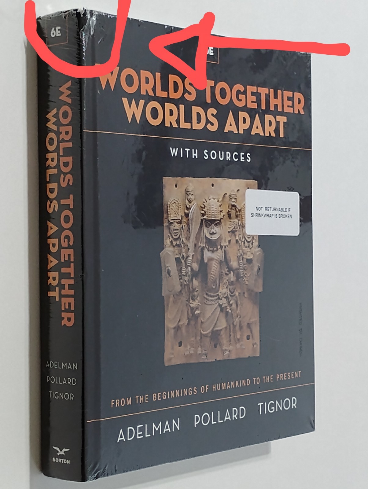 Worlds Together, Worlds Apart~From Beginnings Of Humankind To The Present.READ⬇️