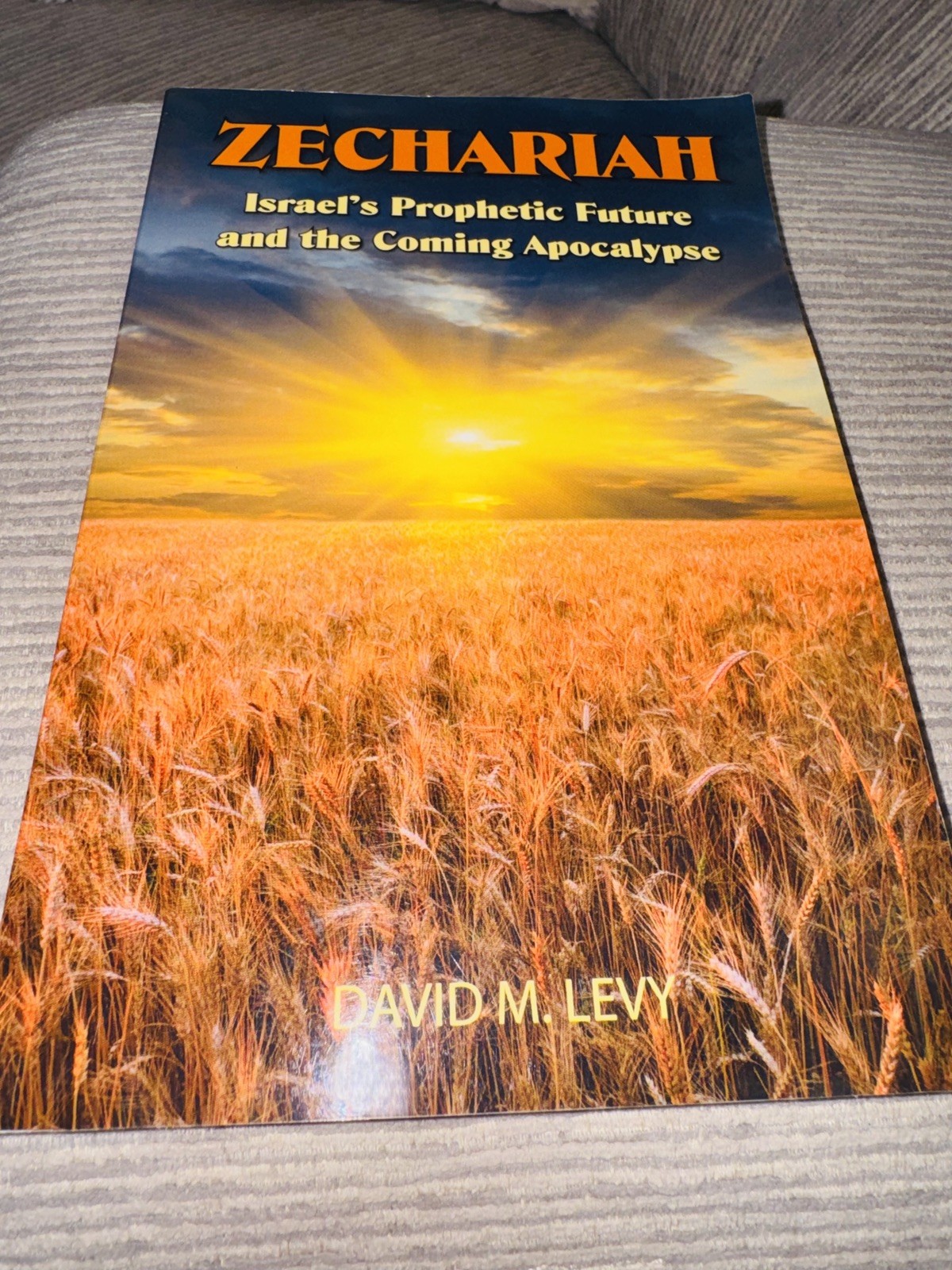 Zechariah: Israel’s Prophetic Future & the Coming Apocalypse ~ David M Levy VG!