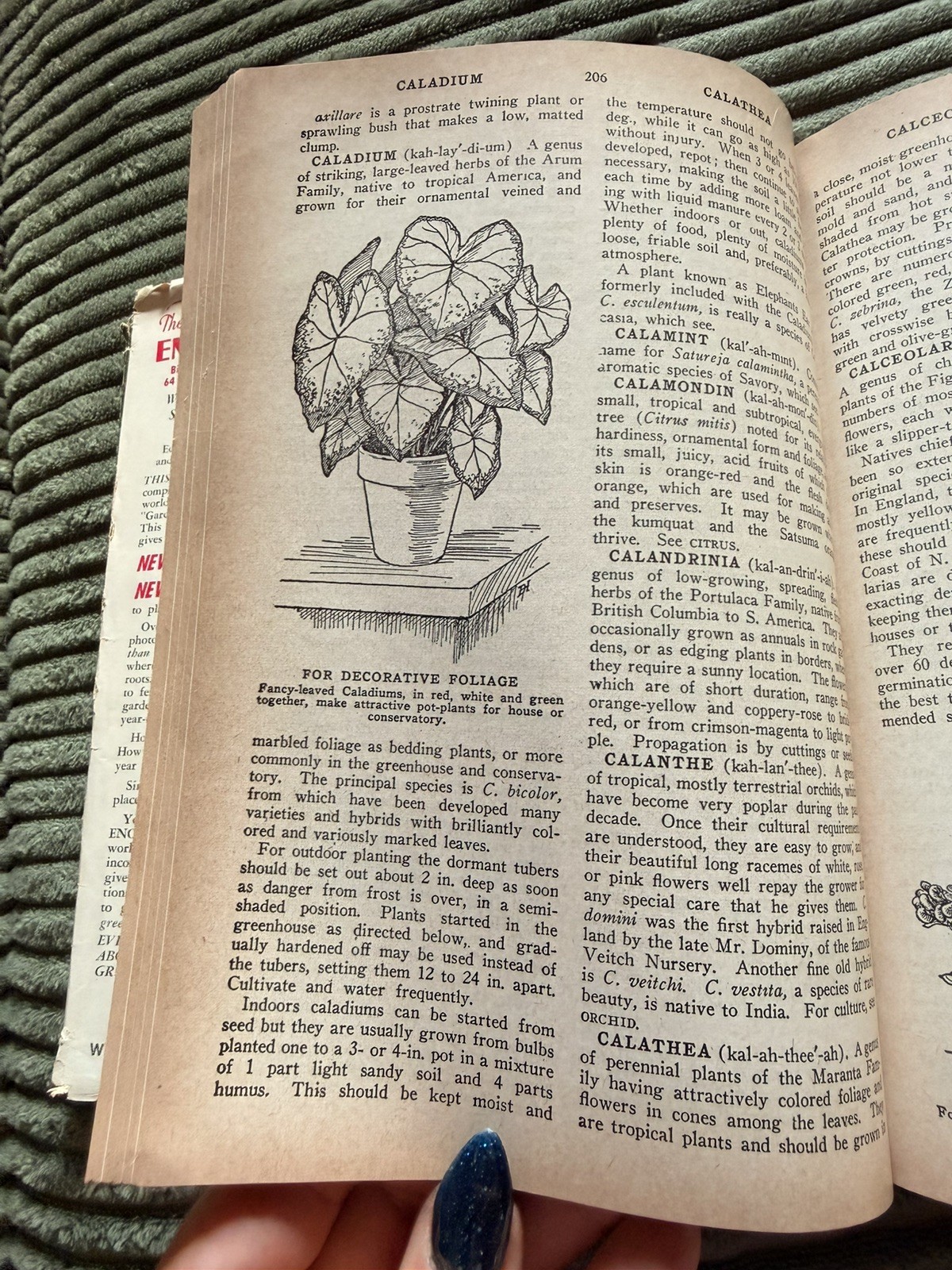 The New Garden Encyclopedia, 1946 Victory Garden Ed. WM. H. Wise Illust/HC