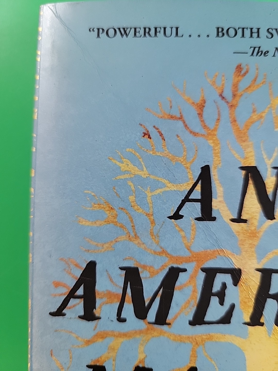 American Marriage by Tayari Jones PB