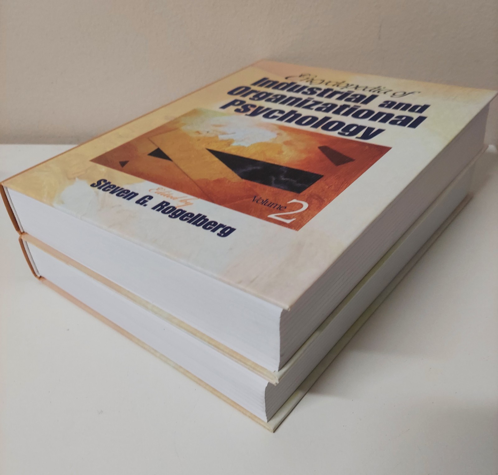 🔥 Like New – Encyclopedia of Industrial and Organizational Psychology Vol 1 & 2