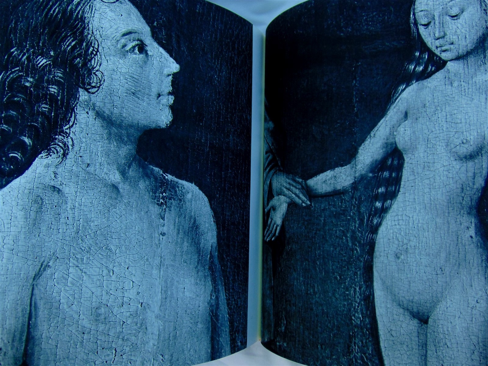 Hieronymus Bosch. Dutch Triptych Painting. Marijnissen Arcade Publishing Belgium