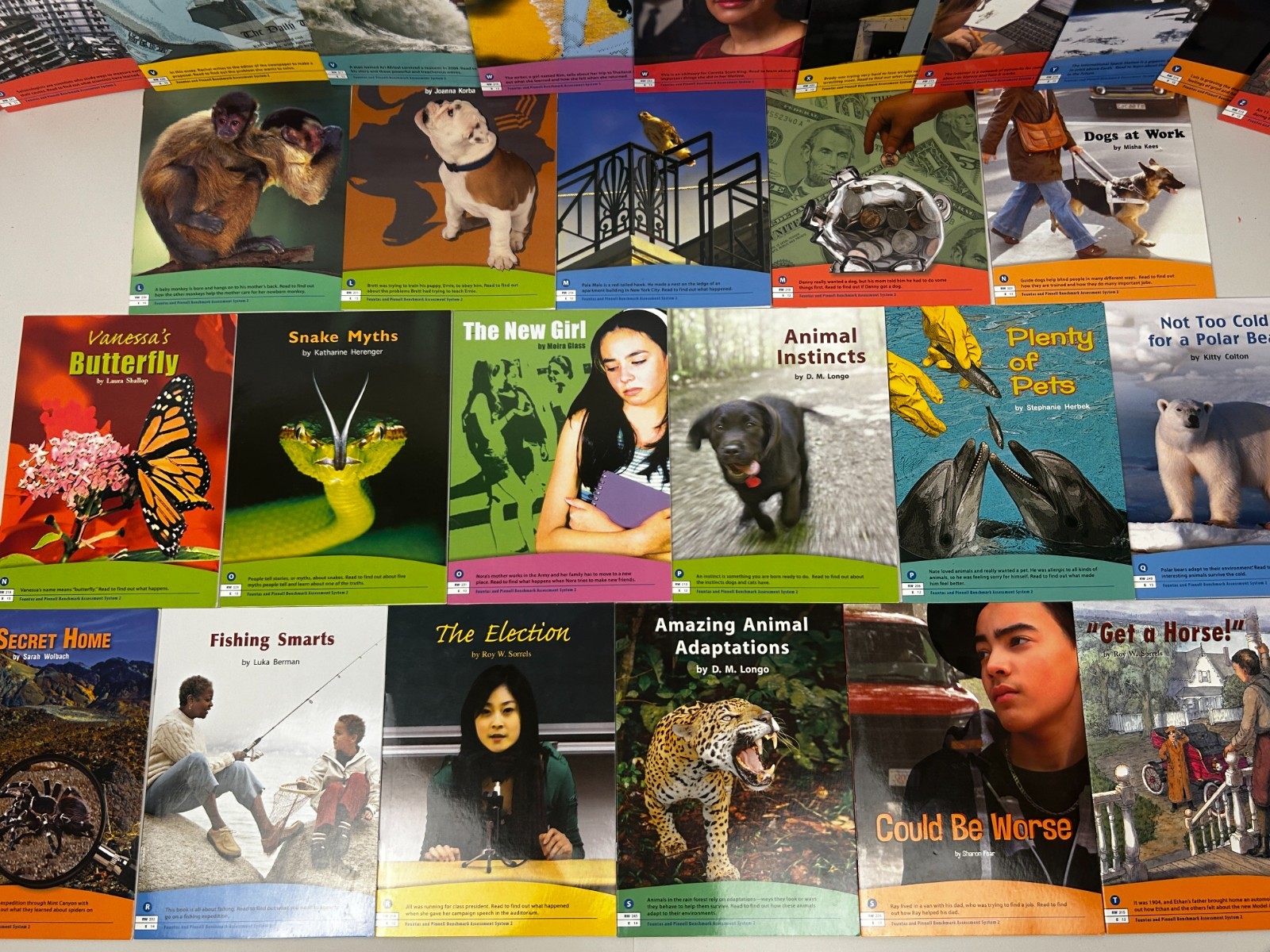 Fountas & Pinnell Benchmark Assessment System 2 Complete Set with Teacher Books