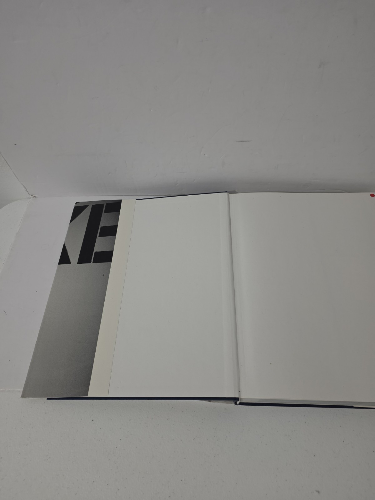 Christopher Wool 1998 MOCA Exhibition Catalog Scalo Hardcover Art Book