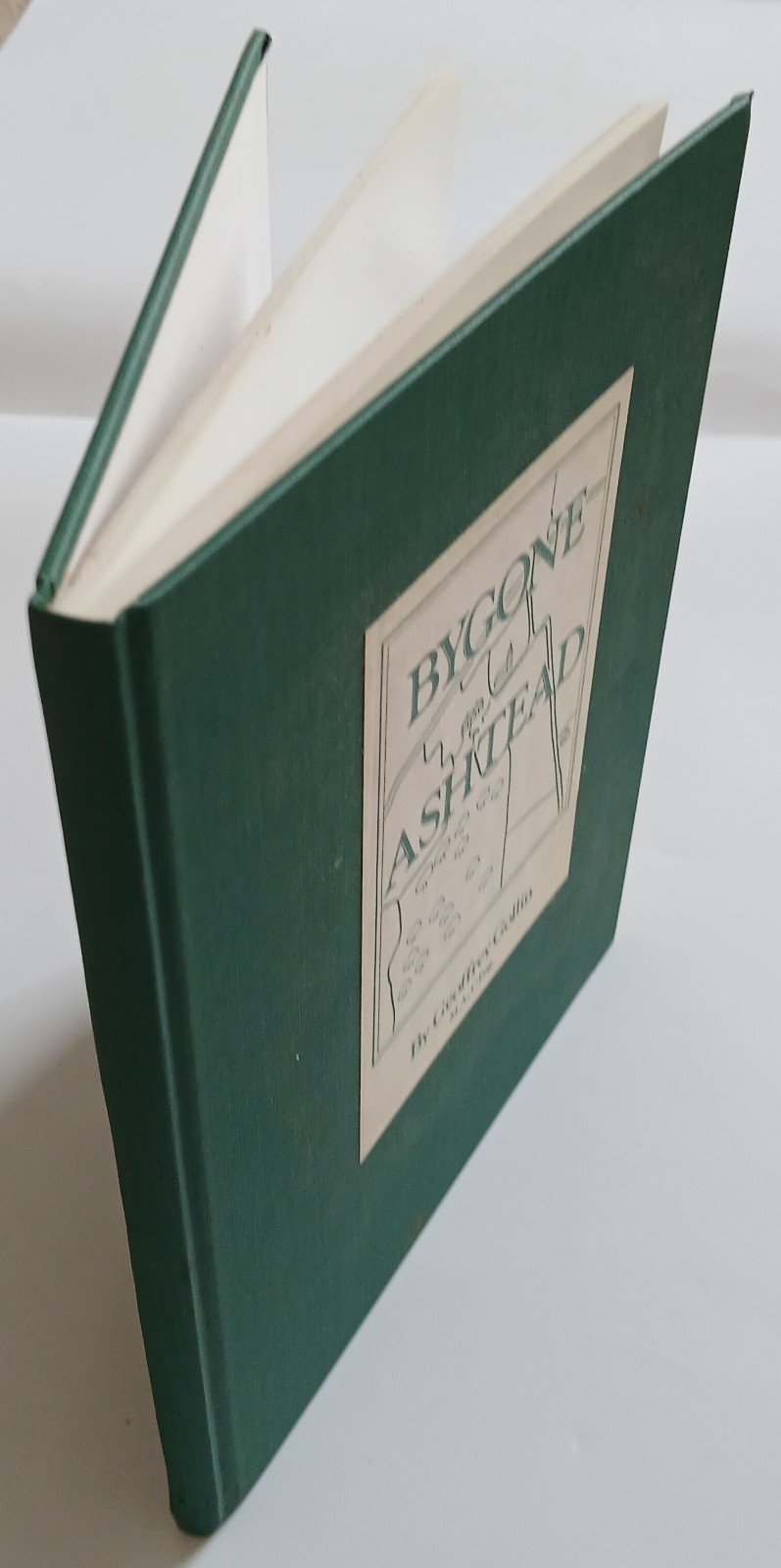 Bygone Ashtead By Geoffrey Gollin MA C Eng 1987 Hardback 1st Edition