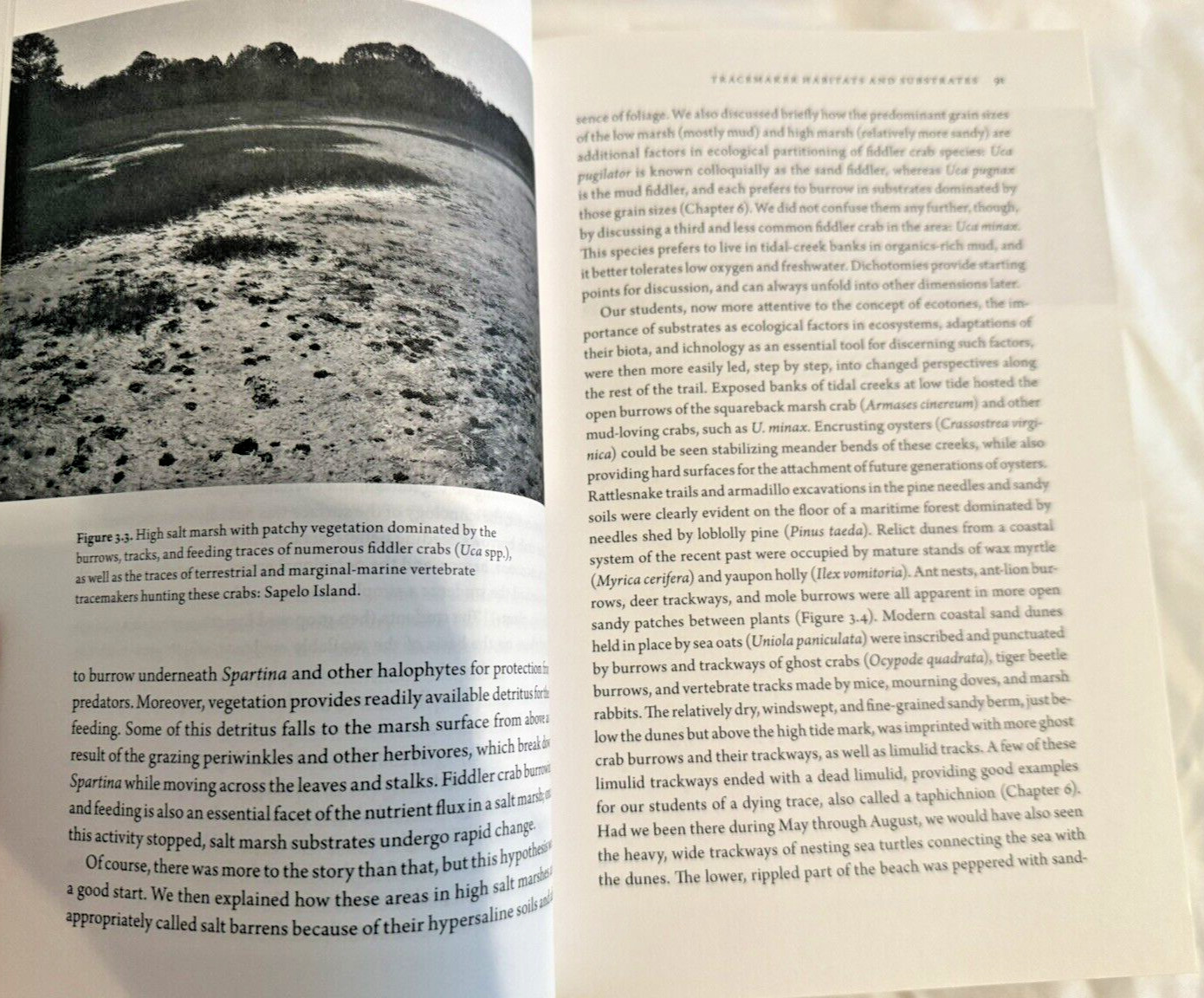 NEW Life Traces Georgia Coast Plants Animals Photos Martin 2013 Book HC DJ