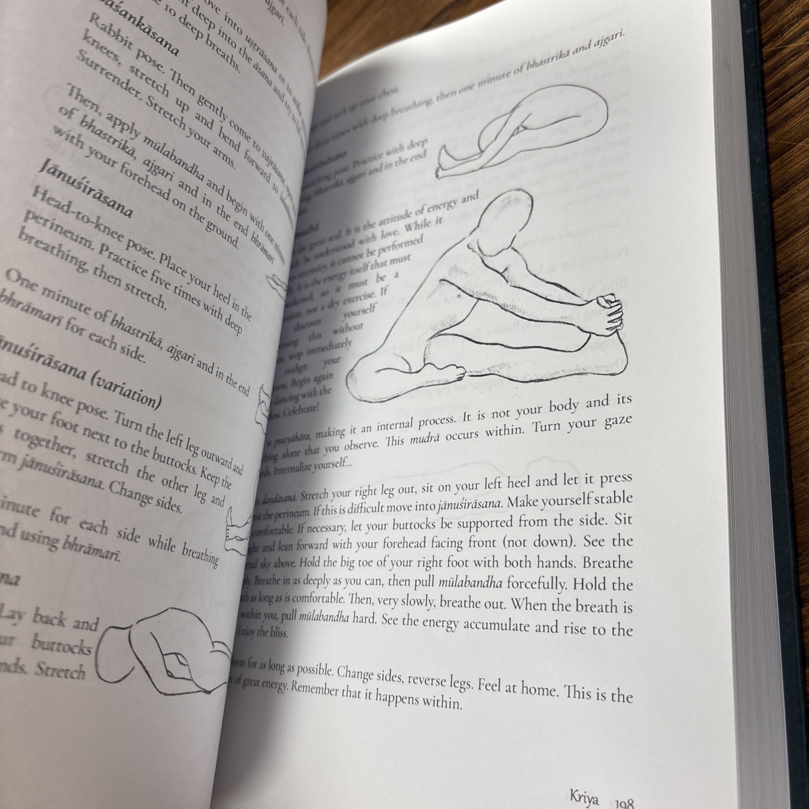 Light on History, Philosophy and Practice of Kundalini and Hatha Yoga Biedrawa