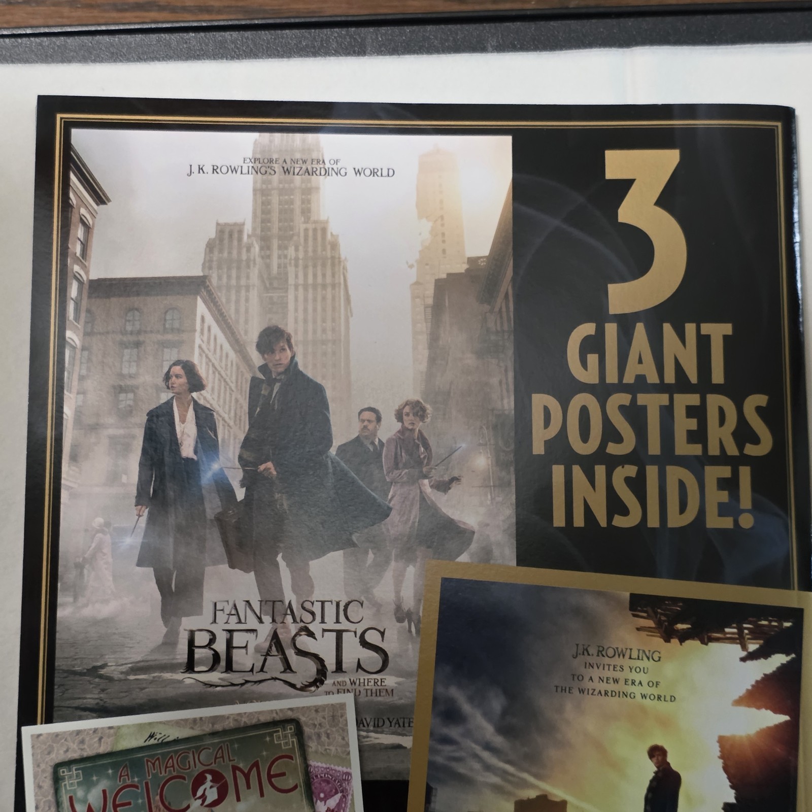 Us Collector’s Edition Illustrated Fantastic Beasts Harry Potter 2017