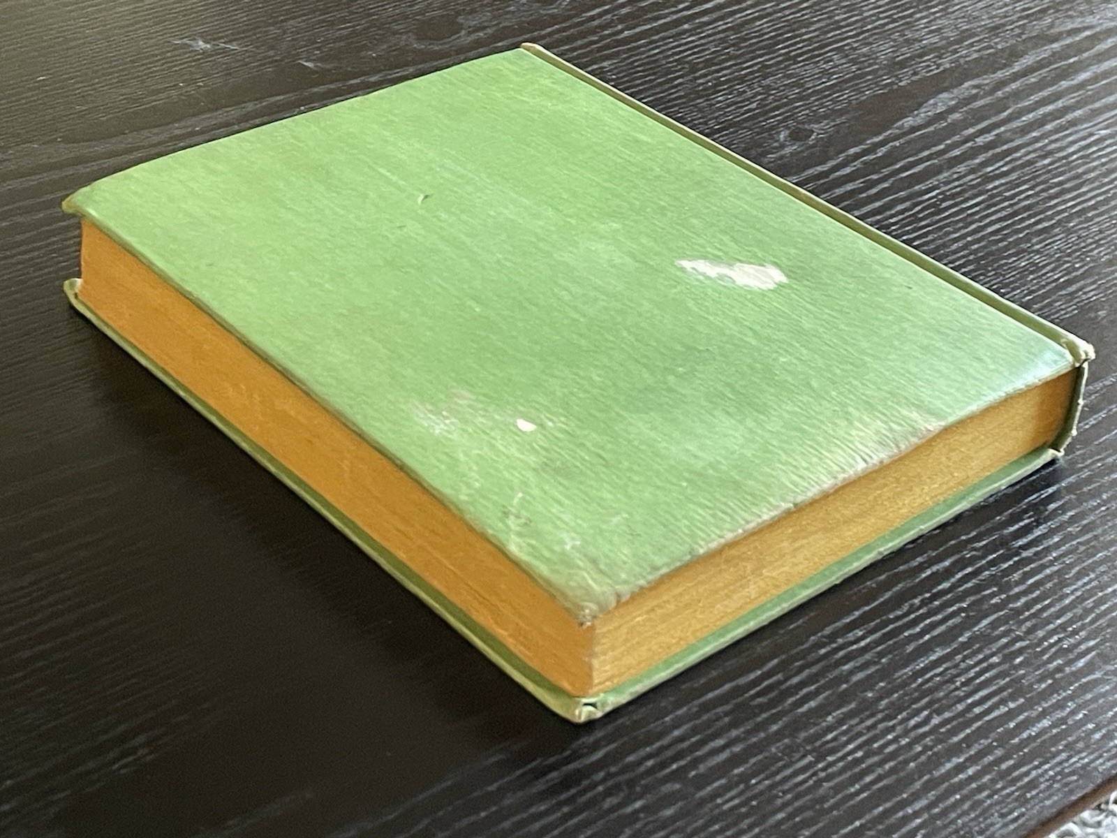 The GNOME KING of Oz, 1927 Ruth Thompson, First Edition, ALL 12 Color Plates