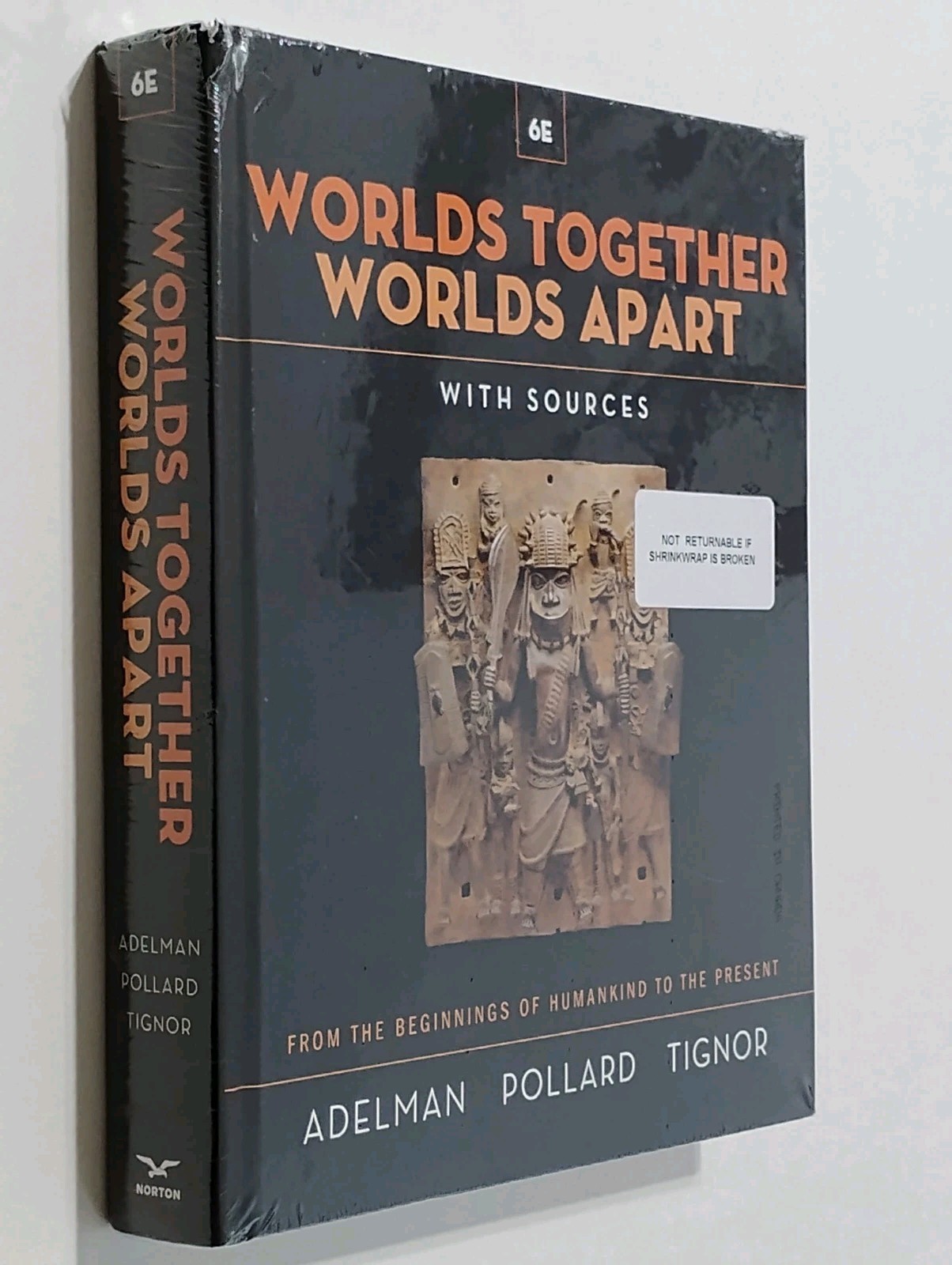 Worlds Together, Worlds Apart~From Beginnings Of Humankind To The Present.READ⬇️