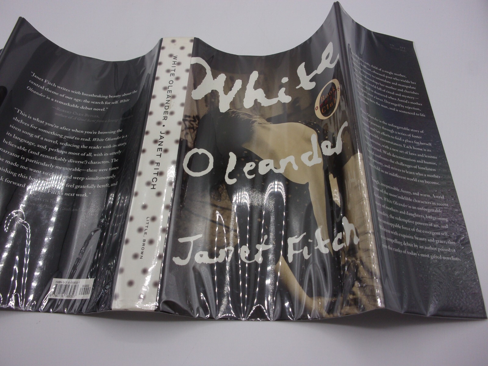 White Oleander by Janet Fitch (1999, Hardcover/DJ Protected)