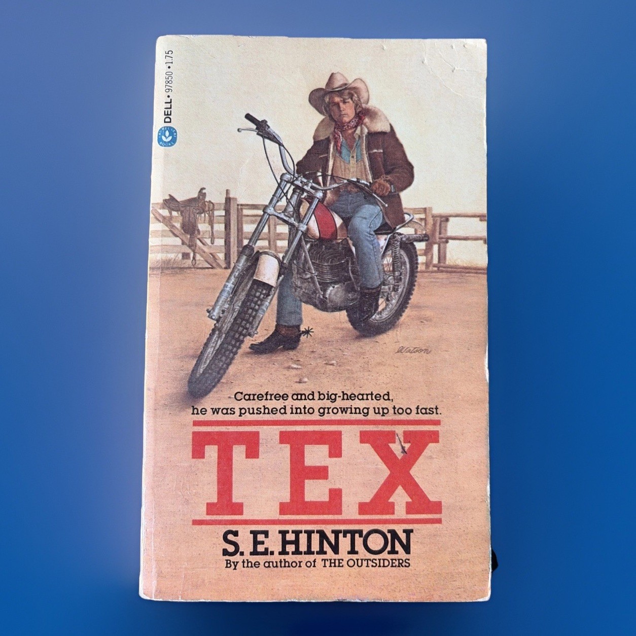 Vintage TEX by S. E. Hinton ~ Alternate Cover Edition ISBN 0-440-97850-5 HTF